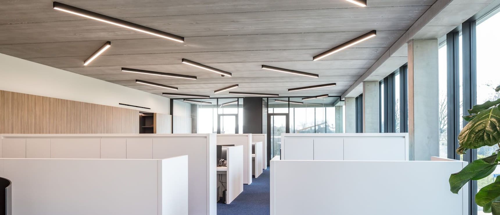 Linear Lighting in an Office Environment
